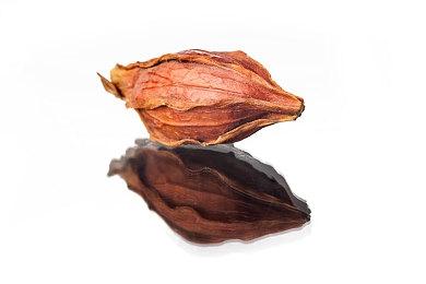 《星空》可把玩家截图转换为加载界面背景图